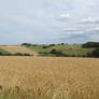 view in Eifel 4