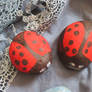 selfmade ladybirds