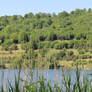 view at Maar lake 10