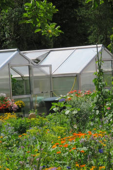 garden with green houses