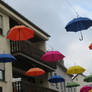 umbrellas in the air