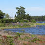 view to Venaern lake