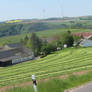 landscape in Eifel 20