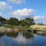 landscape in Mellerud