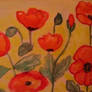 poppies