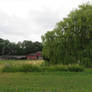 view in outdoor museum