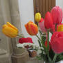 tulips in church