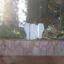 seen in greek garden