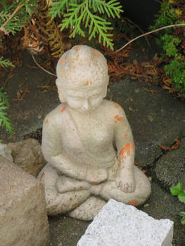 buddha in my garden