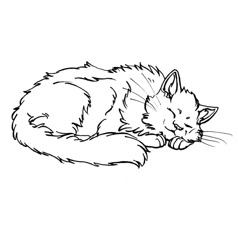 Cat nap раскраска. Спящий кот раскраска. Спящий котик раскраска. Раскраска спящий котенок.