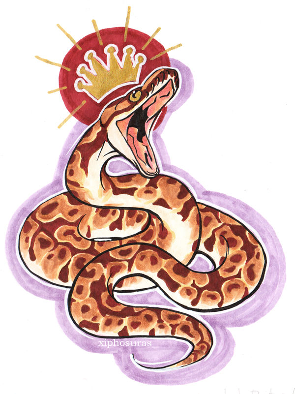 Python Regius by Ophionyx on DeviantArt