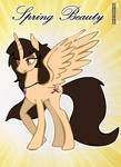 Contest! Spring Beauty MLP serie Style! Entry by leinad56