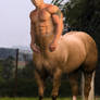 Centaur morph- Len