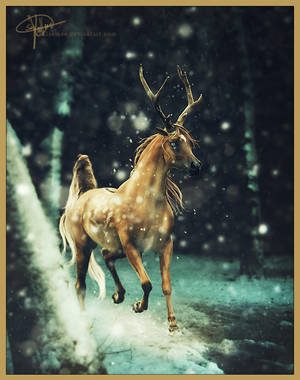 Christmas Time by Esveeka Christmas Time by Esveeka