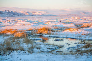 Serene by Esveeka Serene by Esveeka