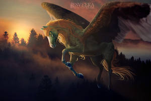 Nature plays by Esveeka Nature plays by Esveeka