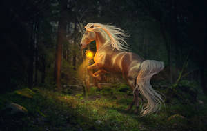 Pretty Lights by Esveeka Pretty Lights by Esveeka
