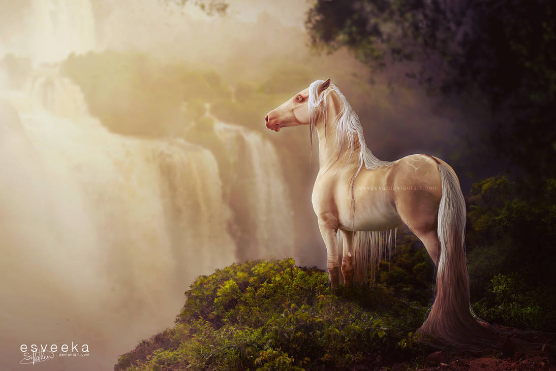 Resplendence by Esveeka Resplendence by Esveeka
