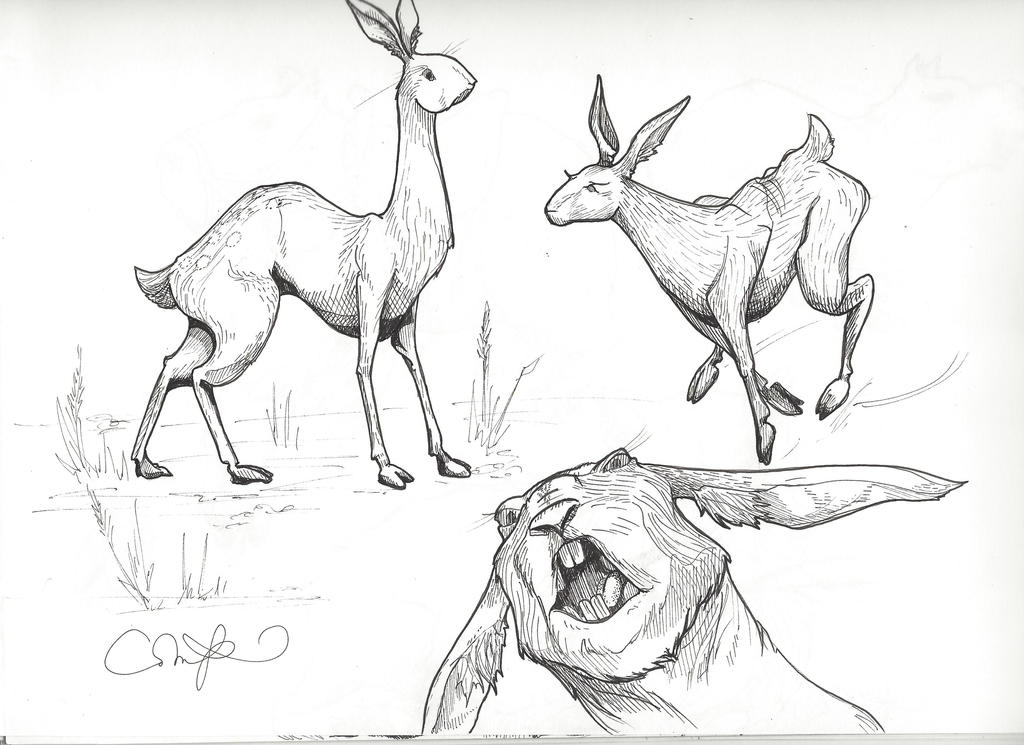 Commn Rabbuck Rabbuck by SpongeyAstronaut on DeviantArt