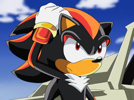 Shadow The Hedgehog