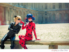 Miraculous Ladybug