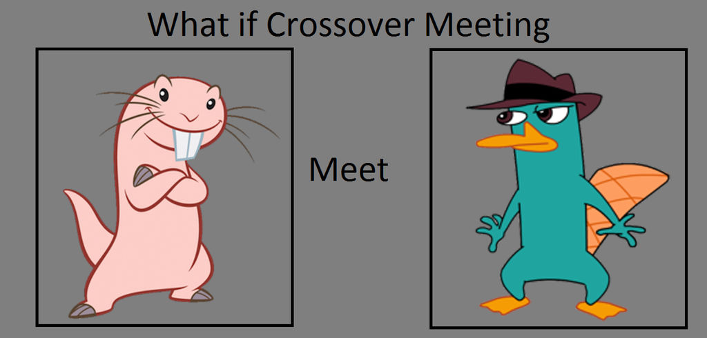 What if Rufus meets Perry by Wildcat1999 on DeviantArt