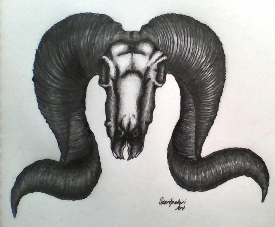 Rammy the Ram Skull