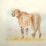 Cheetah watercolor painting