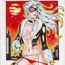 Black Cat (#8) by Rodel Martin