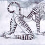 'Cartoon' Tigra (#1) by Boy Lara