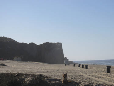 Point Dume Beach - Planet of the Apes