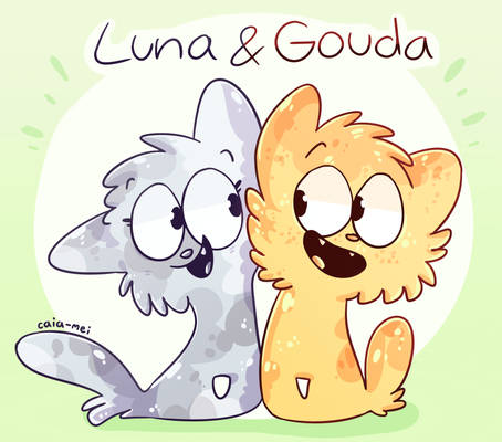 Luna and Gouda