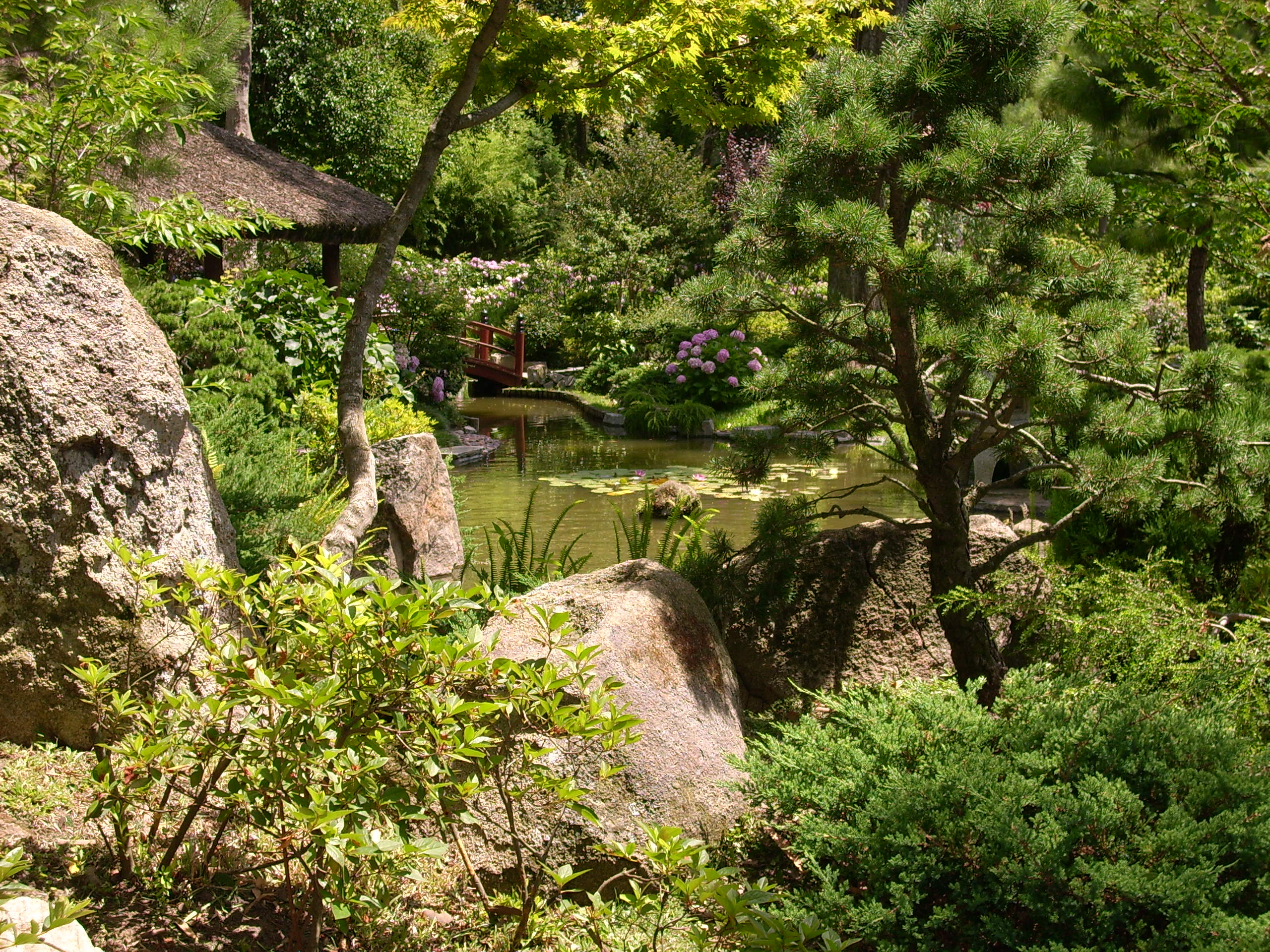 Japanese Garden 03