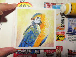 Blue Gold Macaw Painting