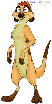 Timon Standing