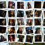 Jack Sparrow