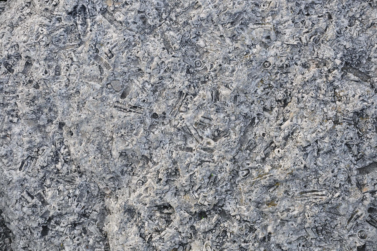 lb1-110 rock texture