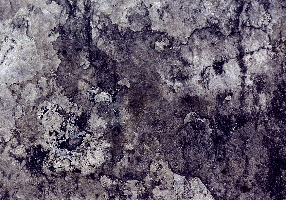 lb1-4 rock texture