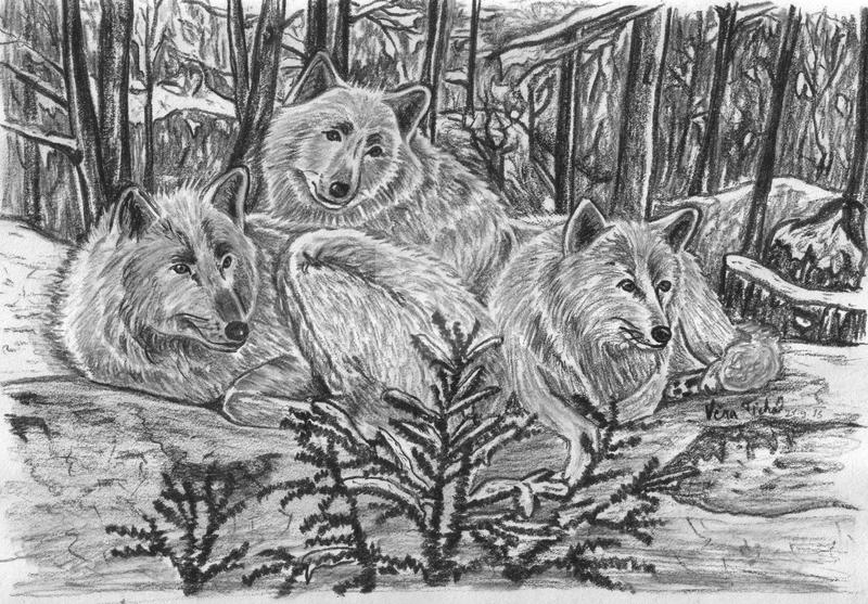 Three Wolves by Vera-Silent on DeviantArt