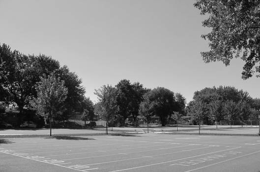 Asphalt And Tress