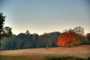 Fall In The South