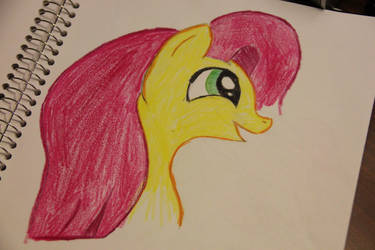 a very happy fluttershy