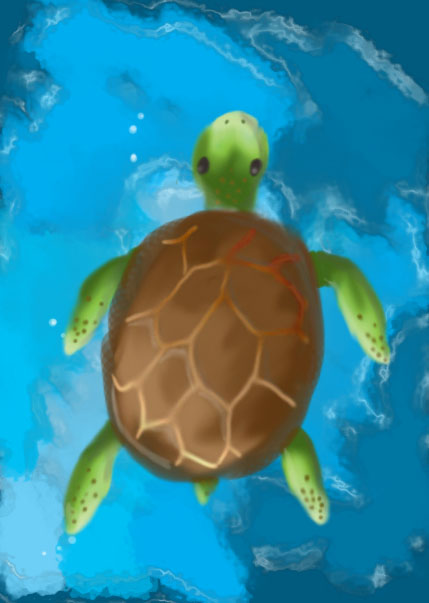 Turtle