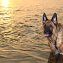 Sunset dip