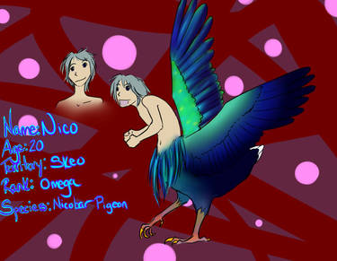 Nico...the pigeon.