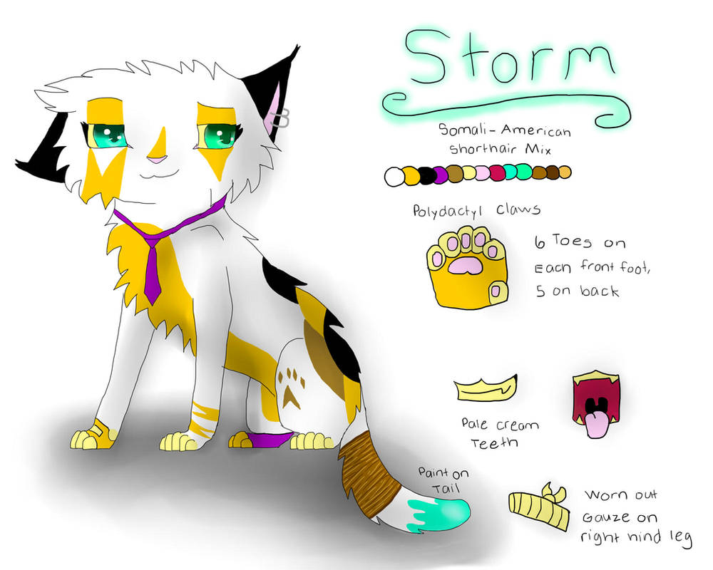 Storm Reference Sheet by stormfire87 on DeviantArt