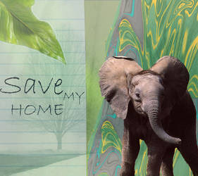 Save My Home