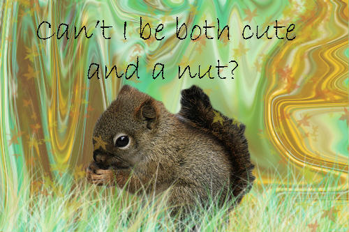Cute Nut