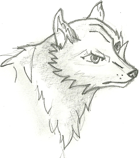 Cute Cartoon Wolf by Rhodyn2506 on DeviantArt Cute Cartoon Wolf by Rhodyn2506 on DeviantArt