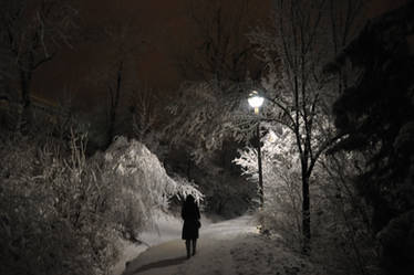 Winter Nocturne